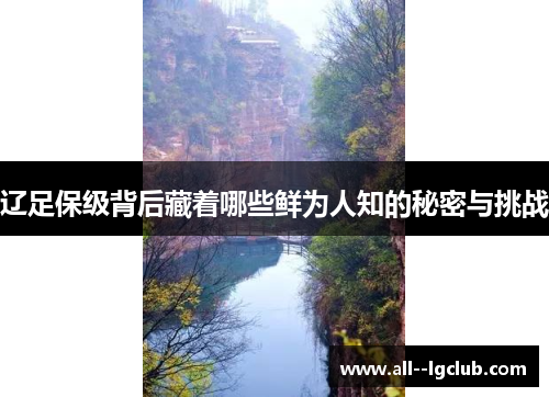 辽足保级背后藏着哪些鲜为人知的秘密与挑战