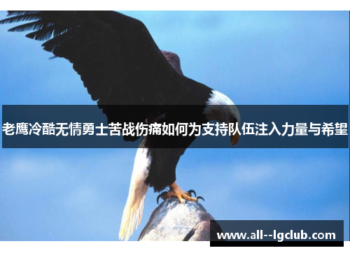 老鹰冷酷无情勇士苦战伤痛如何为支持队伍注入力量与希望