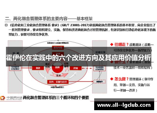 霍伊伦在实践中的六个改进方向及其应用价值分析