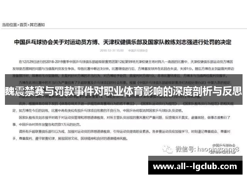 魏震禁赛与罚款事件对职业体育影响的深度剖析与反思