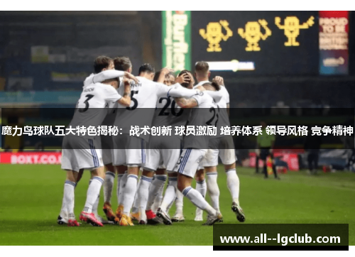 魔力鸟球队五大特色揭秘：战术创新 球员激励 培养体系 领导风格 竞争精神