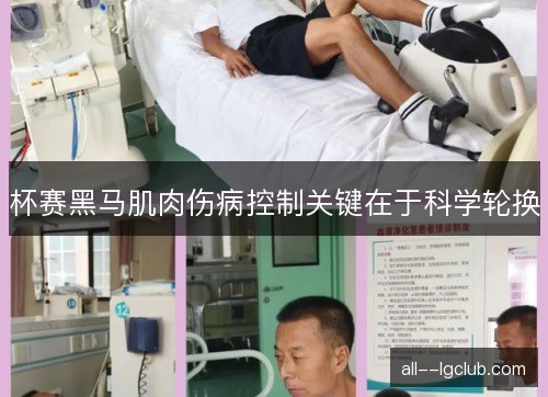 杯赛黑马肌肉伤病控制关键在于科学轮换